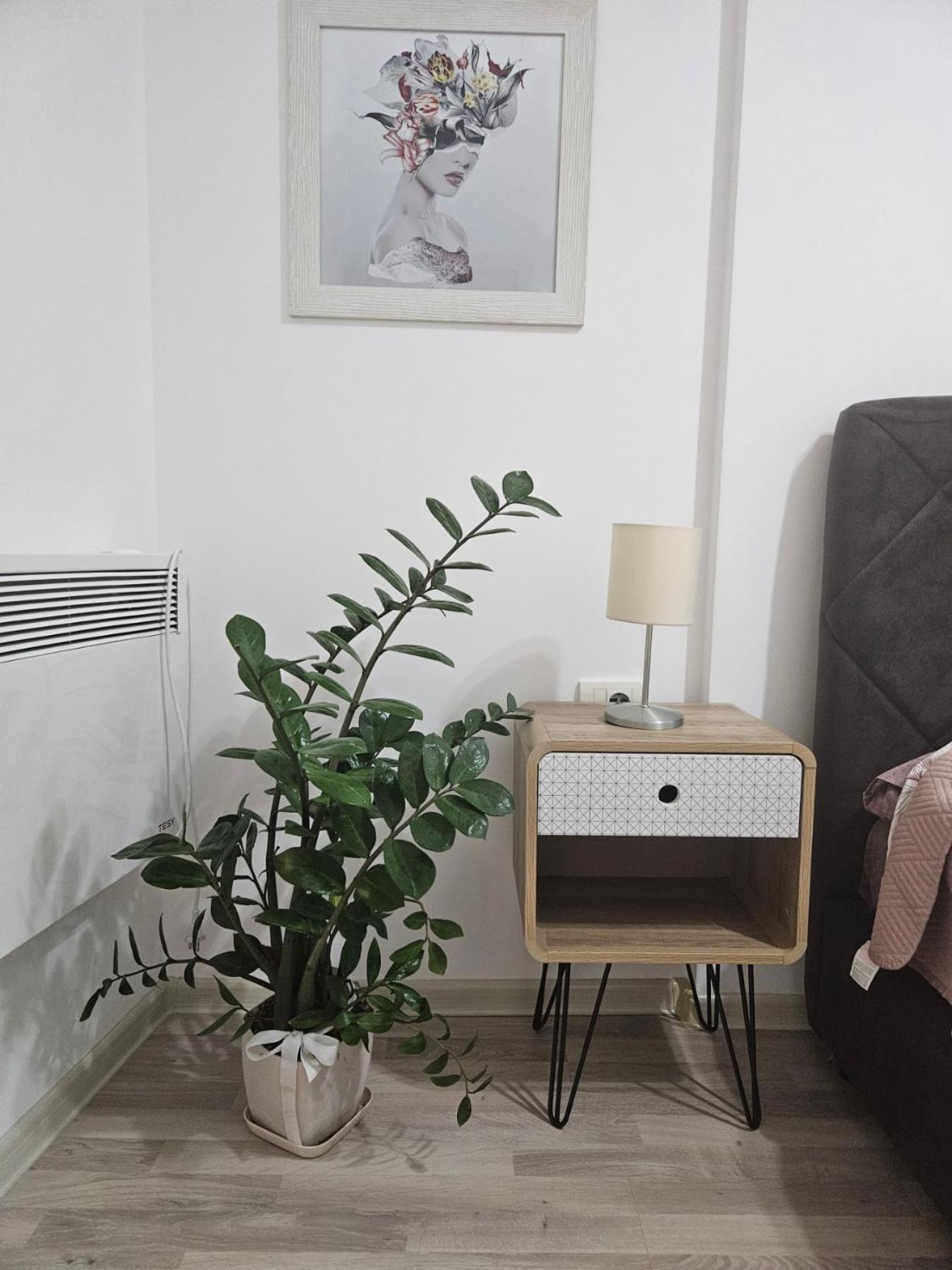 Anastasija Lux 3 Apartment Paracin